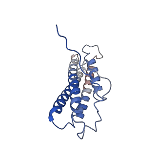 21925_6wvt_Q_v1-0
Structural basis of alphaE-catenin - F-actin catch bond behavior
