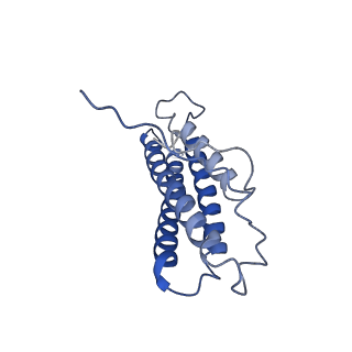 21925_6wvt_X_v1-0
Structural basis of alphaE-catenin - F-actin catch bond behavior