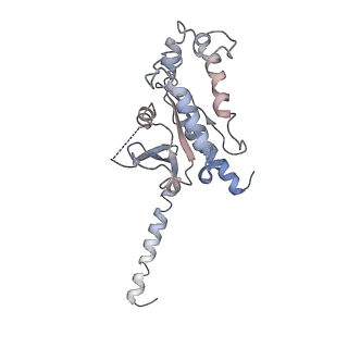 32850_7wv9_A_v1-2
Cryo-EM structure of human receptor with G proteins