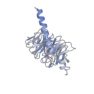 32850_7wv9_B_v1-2
Cryo-EM structure of human receptor with G proteins