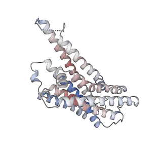 32850_7wv9_R_v1-2
Cryo-EM structure of human receptor with G proteins