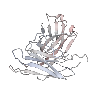 32850_7wv9_S_v1-2
Cryo-EM structure of human receptor with G proteins