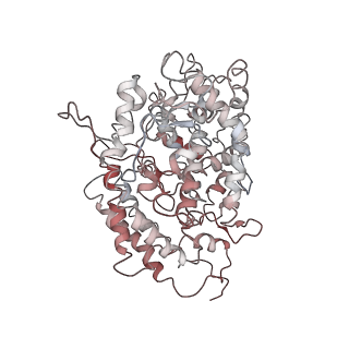 32856_7wvp_A_v1-1
Cryo-EM structure of SARS-CoV-2 Omicron Spike protein with human ACE2 receptor, C2 state