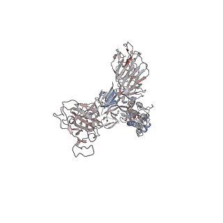32856_7wvp_B_v1-1
Cryo-EM structure of SARS-CoV-2 Omicron Spike protein with human ACE2 receptor, C2 state