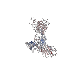 32856_7wvp_D_v1-1
Cryo-EM structure of SARS-CoV-2 Omicron Spike protein with human ACE2 receptor, C2 state