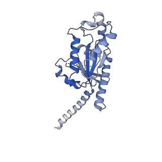 32858_7wvu_A_v1-0
Cryo-EM structure of the human formyl peptide receptor 1 in complex with fMLF and Gi1