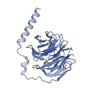 32858_7wvu_B_v1-0
Cryo-EM structure of the human formyl peptide receptor 1 in complex with fMLF and Gi1