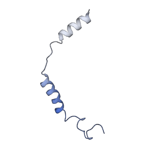 32858_7wvu_C_v1-0
Cryo-EM structure of the human formyl peptide receptor 1 in complex with fMLF and Gi1
