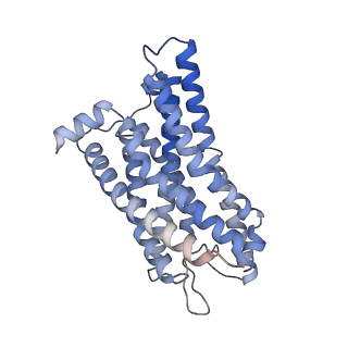 32858_7wvu_R_v1-0
Cryo-EM structure of the human formyl peptide receptor 1 in complex with fMLF and Gi1