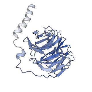 32859_7wvv_B_v1-0
Cryo-EM structure of the human formyl peptide receptor 2 in complex with fMLFII and Gi2