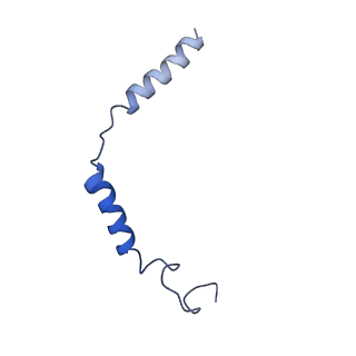 32860_7wvw_C_v1-0
Cryo-EM structure of the human formyl peptide receptor 2 in complex with fMYFINILTL and Gi2