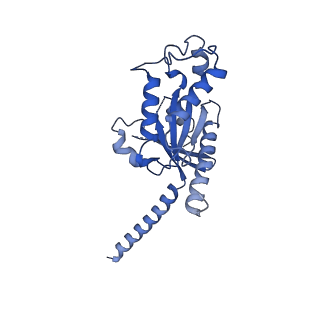 32861_7wvx_A_v1-0
Cryo-EM structure of the human formyl peptide receptor 2 in complex with fhumanin and Gi2