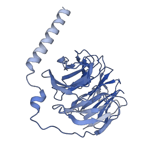32861_7wvx_B_v1-0
Cryo-EM structure of the human formyl peptide receptor 2 in complex with fhumanin and Gi2