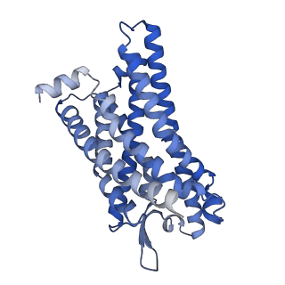 32862_7wvy_R_v1-0
Cryo-EM structure of the human formyl peptide receptor 2 in complex with Abeta42 and Gi2