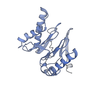 6694_5wvk_1_v1-2
Yeast proteasome-ADP-AlFx