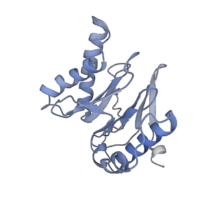 6694_5wvk_1_v1-3
Yeast proteasome-ADP-AlFx