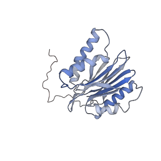 6694_5wvk_2_v1-2
Yeast proteasome-ADP-AlFx