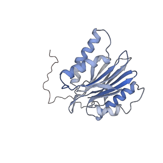 6694_5wvk_2_v1-3
Yeast proteasome-ADP-AlFx