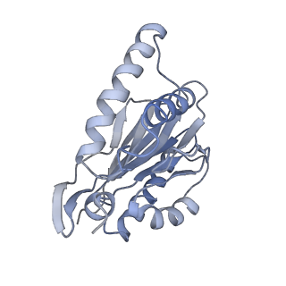 6694_5wvk_3_v1-2
Yeast proteasome-ADP-AlFx