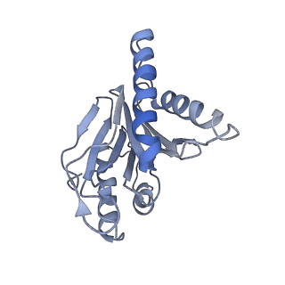 6694_5wvk_4_v1-3
Yeast proteasome-ADP-AlFx