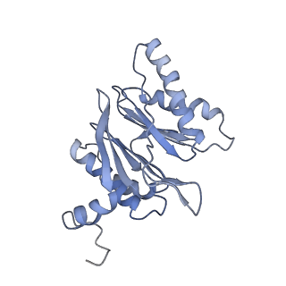 6694_5wvk_5_v1-2
Yeast proteasome-ADP-AlFx