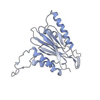 6694_5wvk_6_v1-2
Yeast proteasome-ADP-AlFx
