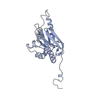 6694_5wvk_7_v1-2
Yeast proteasome-ADP-AlFx