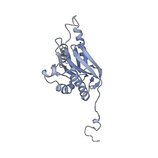 6694_5wvk_7_v1-3
Yeast proteasome-ADP-AlFx