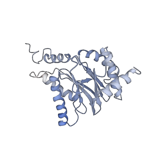 6694_5wvk_A_v1-2
Yeast proteasome-ADP-AlFx
