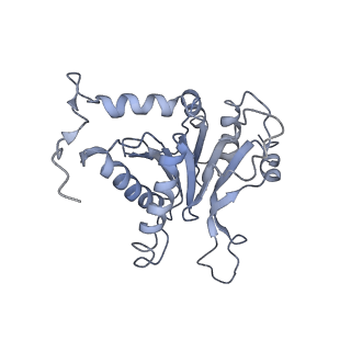 6694_5wvk_B_v1-2
Yeast proteasome-ADP-AlFx