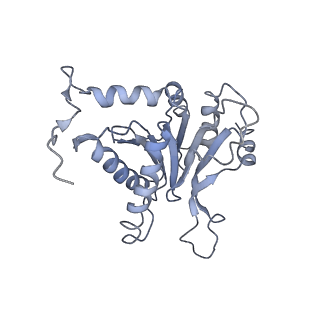 6694_5wvk_B_v1-3
Yeast proteasome-ADP-AlFx