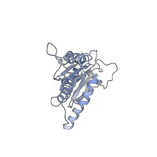 6694_5wvk_C_v1-2
Yeast proteasome-ADP-AlFx