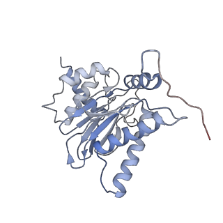 6694_5wvk_D_v1-2
Yeast proteasome-ADP-AlFx
