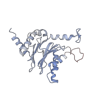 6694_5wvk_E_v1-2
Yeast proteasome-ADP-AlFx