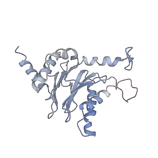 6694_5wvk_E_v1-3
Yeast proteasome-ADP-AlFx