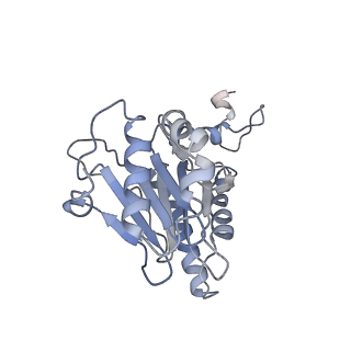 6694_5wvk_F_v1-2
Yeast proteasome-ADP-AlFx