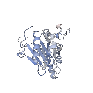 6694_5wvk_F_v1-3
Yeast proteasome-ADP-AlFx