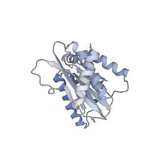 6694_5wvk_G_v1-2
Yeast proteasome-ADP-AlFx