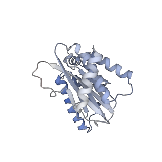 6694_5wvk_G_v1-3
Yeast proteasome-ADP-AlFx