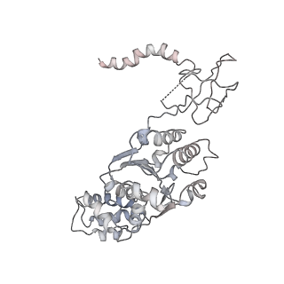 6694_5wvk_H_v1-3
Yeast proteasome-ADP-AlFx