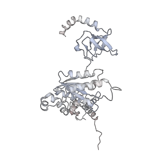 6694_5wvk_I_v1-2
Yeast proteasome-ADP-AlFx