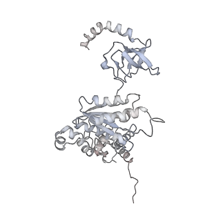 6694_5wvk_I_v1-3
Yeast proteasome-ADP-AlFx