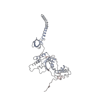 6694_5wvk_K_v1-2
Yeast proteasome-ADP-AlFx