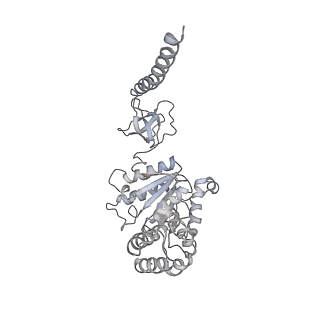 6694_5wvk_L_v1-2
Yeast proteasome-ADP-AlFx