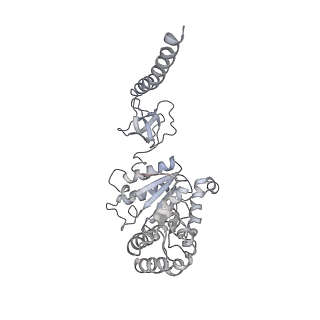 6694_5wvk_L_v1-3
Yeast proteasome-ADP-AlFx