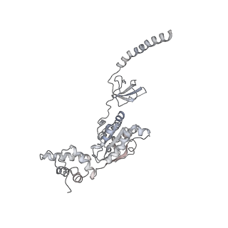 6694_5wvk_M_v1-2
Yeast proteasome-ADP-AlFx