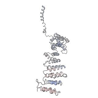 6694_5wvk_P_v1-2
Yeast proteasome-ADP-AlFx