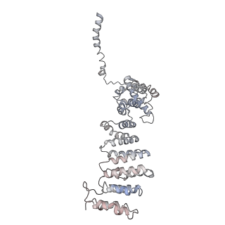 6694_5wvk_P_v1-3
Yeast proteasome-ADP-AlFx