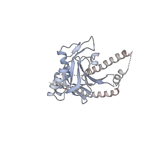 6694_5wvk_U_v1-2
Yeast proteasome-ADP-AlFx
