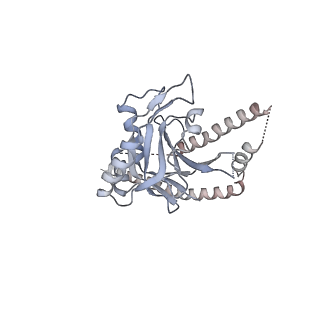 6694_5wvk_U_v1-3
Yeast proteasome-ADP-AlFx